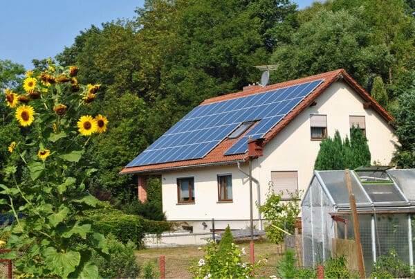 Are You Underinsured? the Home Insurance Coverage Mistake to Avoid - Beautiful Home With the Treees and Sunflowers Flowing