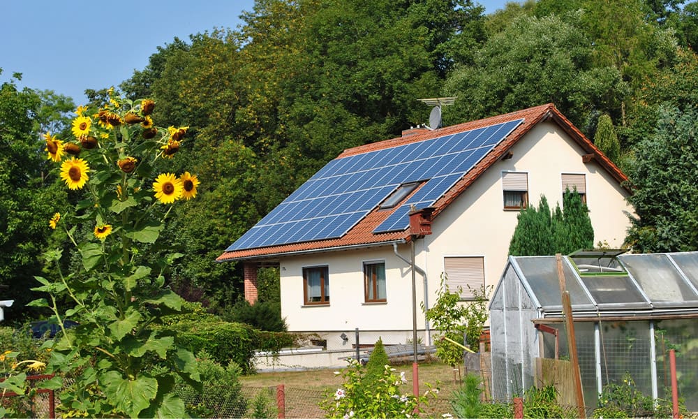 Are You Underinsured? the Home Insurance Coverage Mistake to Avoid - Beautiful Home With the Treees and Sunflowers Flowing